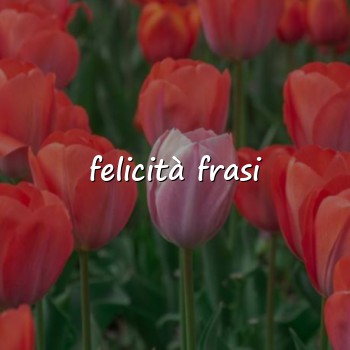 felicità frasi - 2026