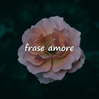 frase amore - 2026