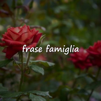 frase famiglia - 2026