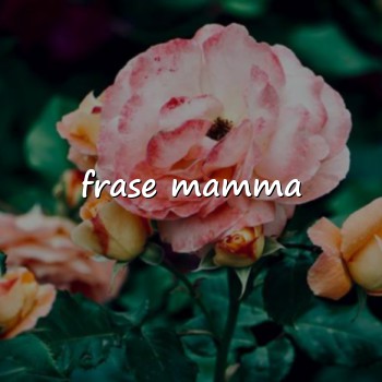 frase mamma - 2026