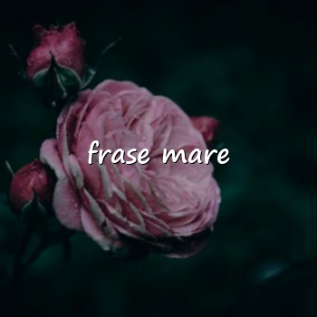 frase mare - 2026