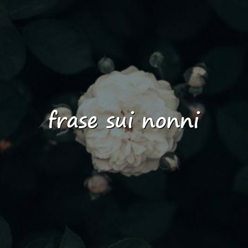 frase sui nonni - 2026