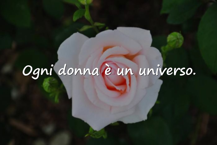 Immagini con donne frasi - 14