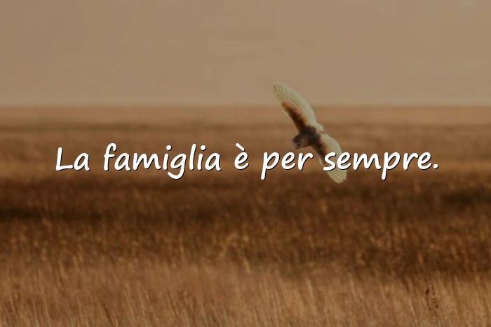 Immagini con famiglia frasi - 2