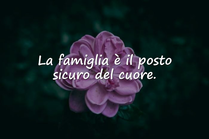 Immagini con famiglia frasi - 23