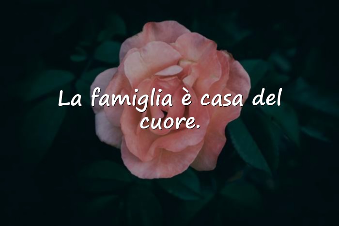 Immagini con famiglia frasi - 19