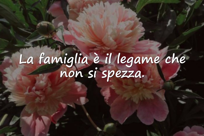Immagini con famiglia frasi - 14