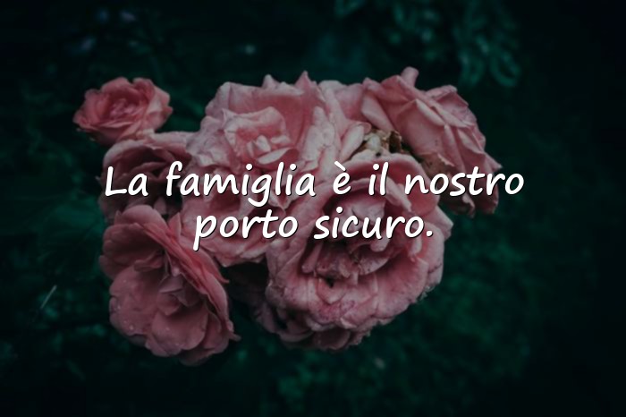 Immagini con famiglia frasi - 10