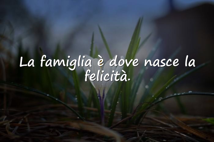 Immagini con famiglia frasi - 6