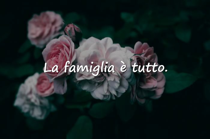 Immagini con famiglia frasi - 1