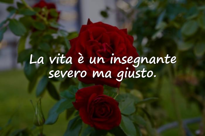 Immagini con famose riflettere frasi sulla vita - 6