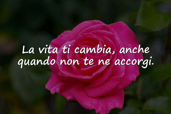 Immagini con famose riflettere frasi sulla vita - 1