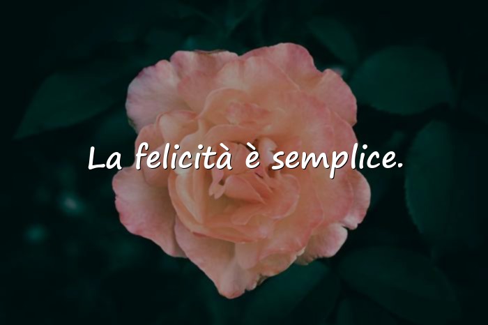 Immagini con felicità frasi - 6