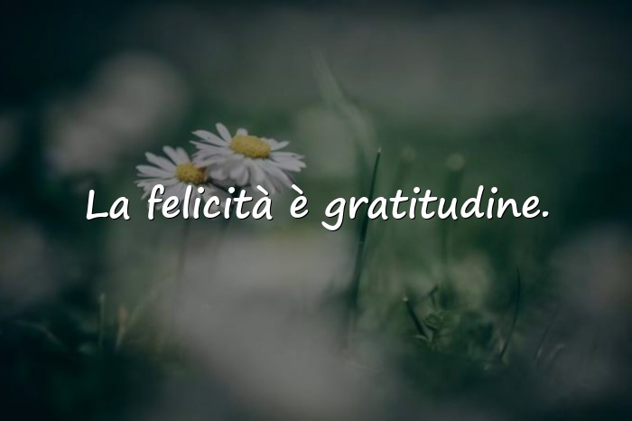 Immagini con felicità frasi - 23