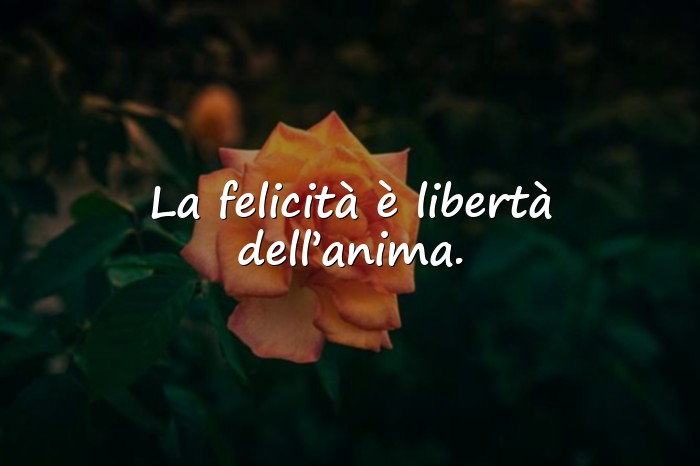 Immagini con felicità frasi - 25