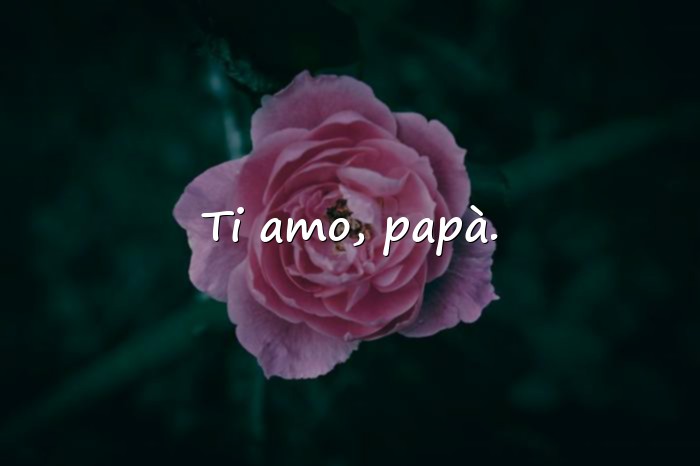 Immagini con festa del papa frasi - 16