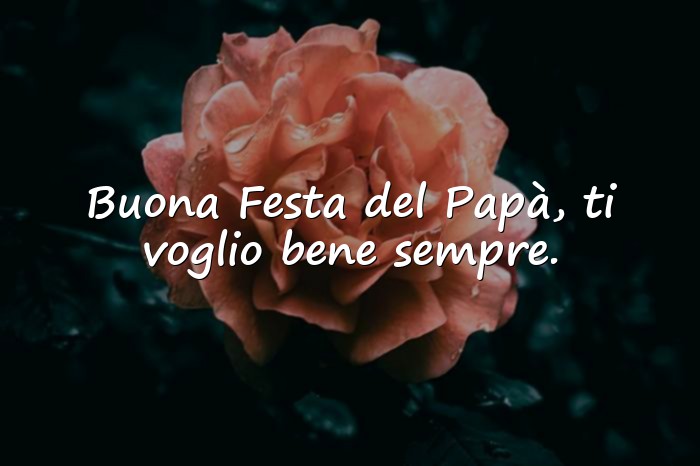 Immagini con festa del papa frasi - 1