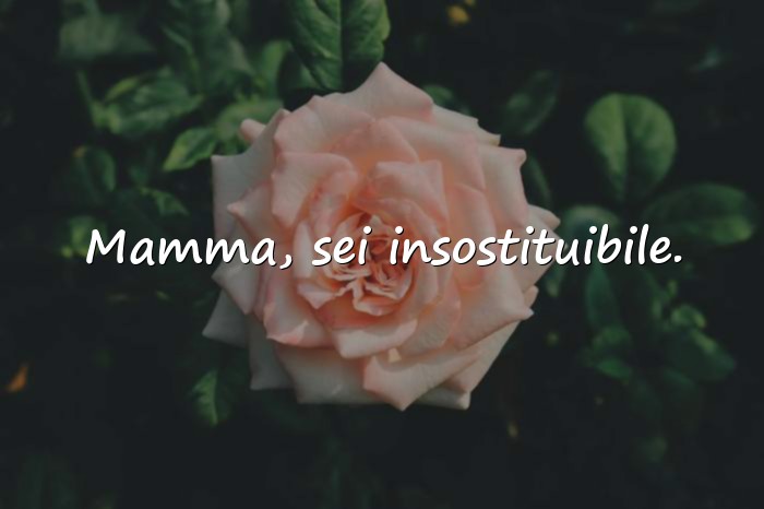 Immagini con festa della mamma frasi - 17