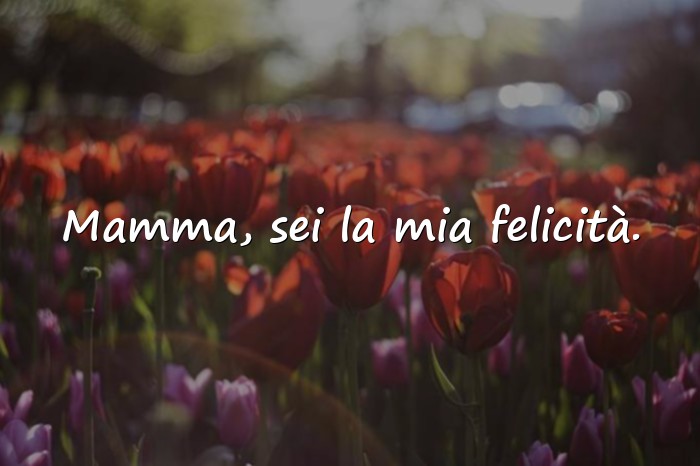 Immagini con festa della mamma frasi - 15