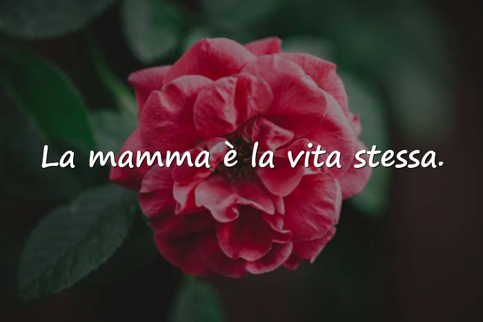 Immagini con festa della mamma frasi - 1