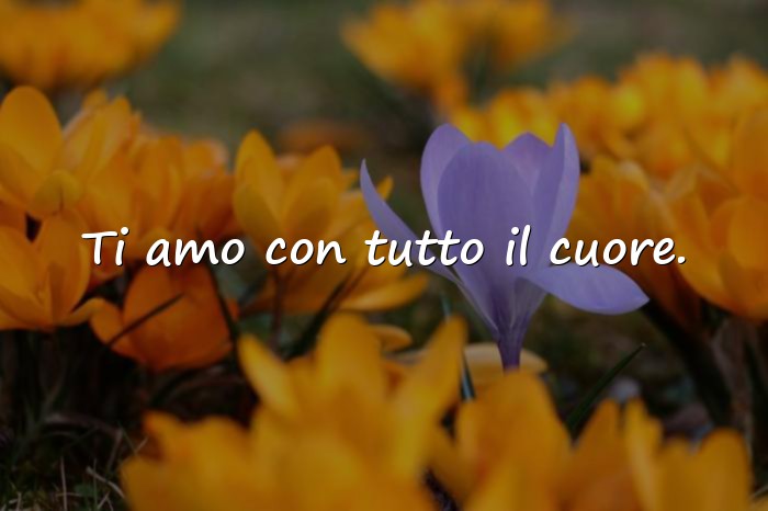 Immagini con frase amore - 9