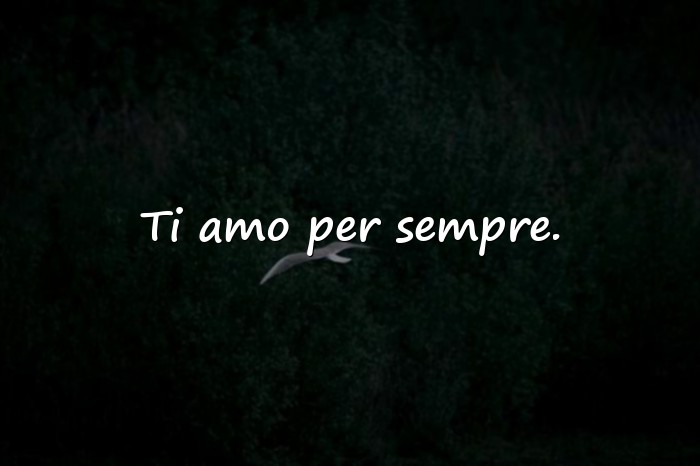Immagini con frase amore - 24