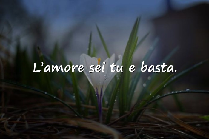 Immagini con frase amore - 16