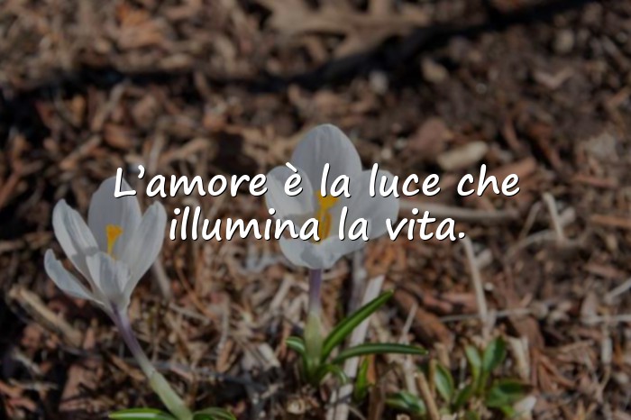 Immagini con frase amore - 2