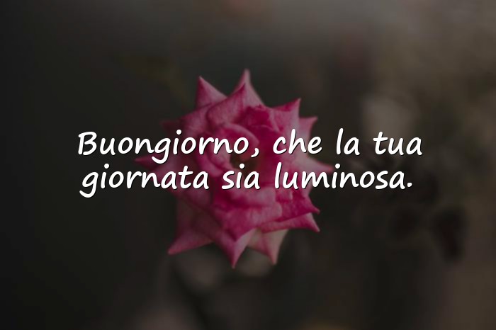 Immagini con frase amore - 24