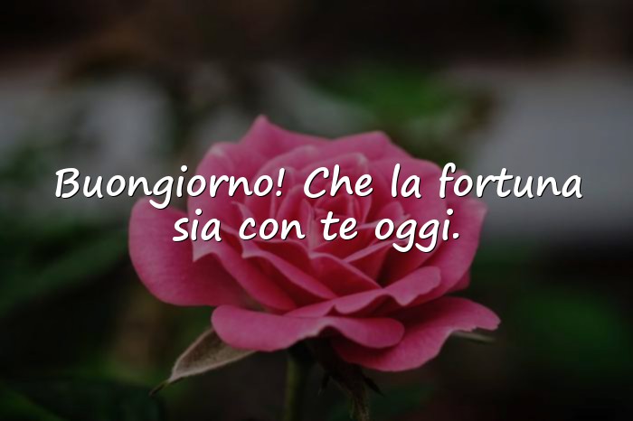 Immagini con frase amore - 19