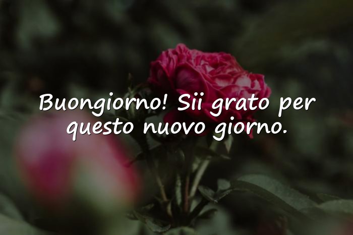 Immagini con frase amore - 10