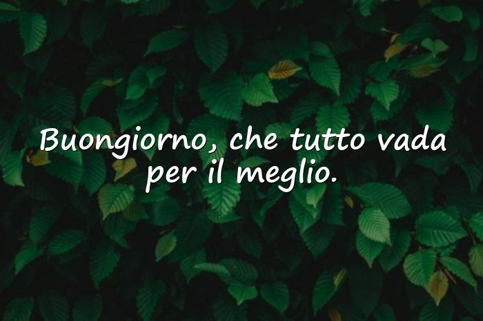 Immagini con frase amore - 5