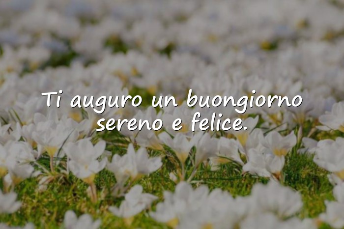 Immagini con frase amore - 1