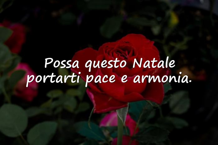 Immagini con frase auguri natale - 19
