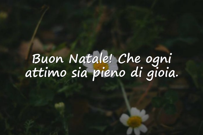 Immagini con frase auguri natale - 16