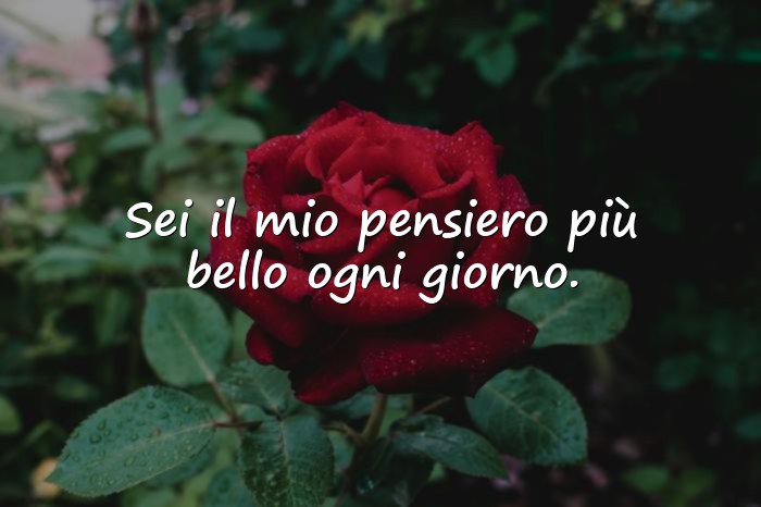 Immagini con frase d amore per lei - 24