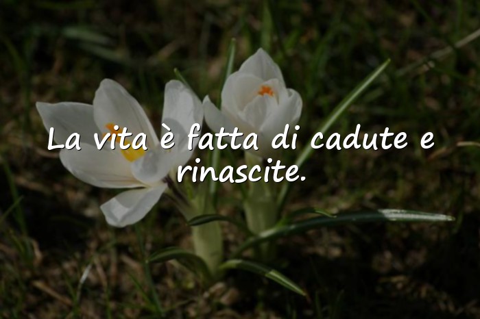 Immagini con frase della vita - 22