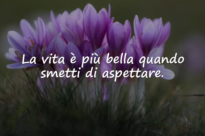 Immagini con frase della vita - 17