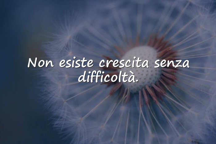 Immagini con frase della vita - 12