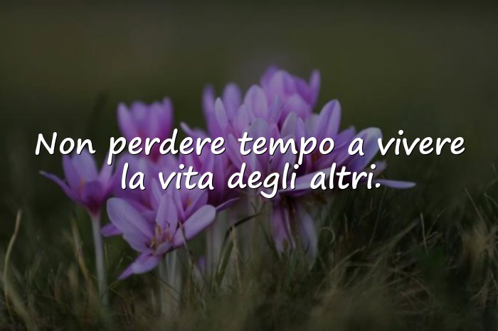 Immagini con frase della vita - 4