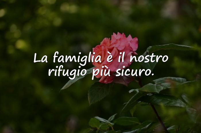 Immagini con frase famiglia - 10