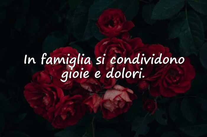 Immagini con frase famiglia - 6