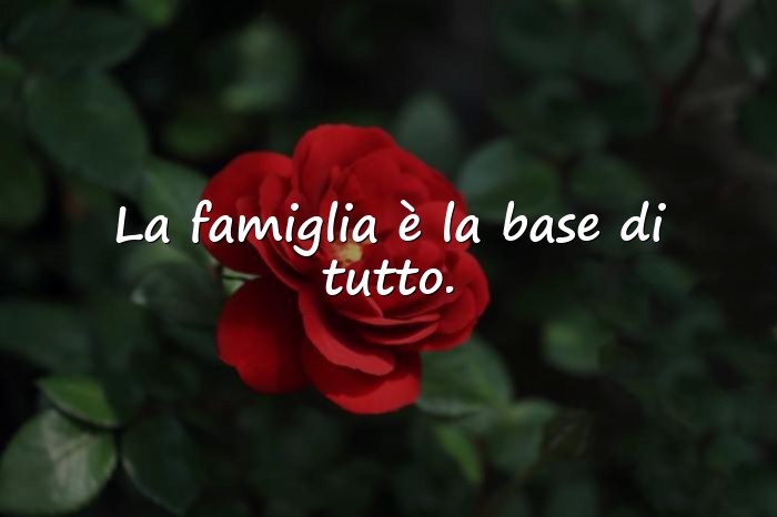 Immagini con frase famiglia - 2