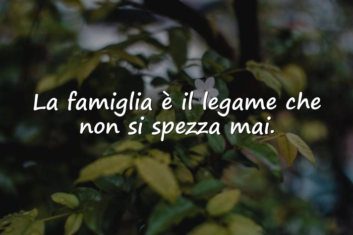 Immagini con frase famiglia - 16