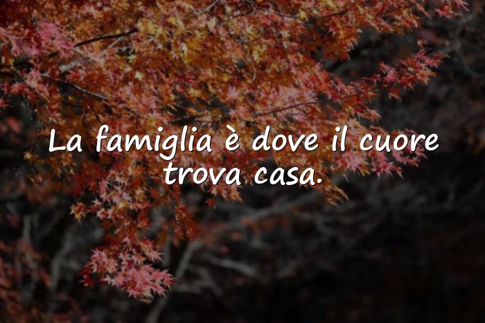 Immagini con frase famiglia - 7