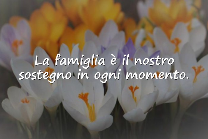 Immagini con frase famiglia - 4