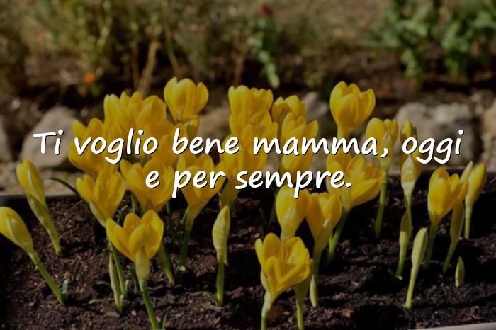 Immagini con frase mamma - 3