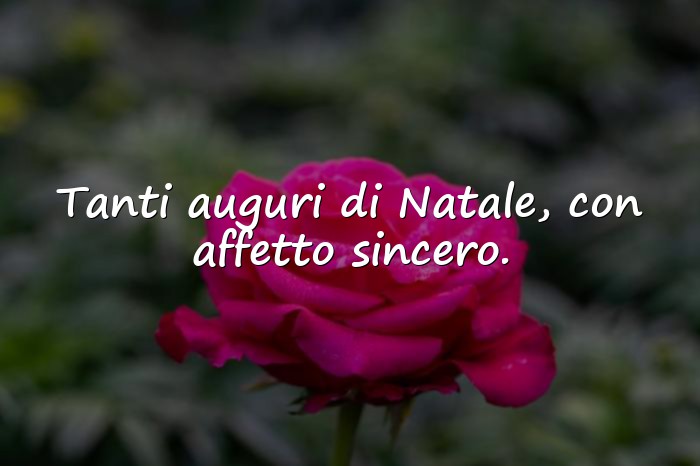Immagini con frase mamma - 10