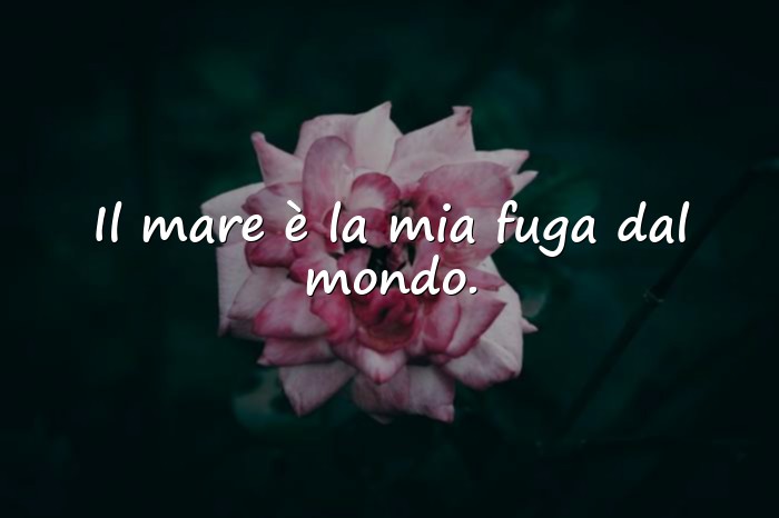 Immagini con frase mare - 20