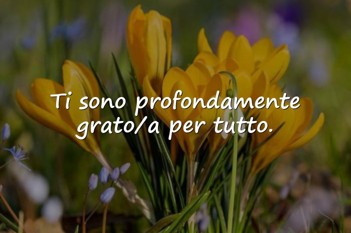 Immagini con frase ringraziamento - 20